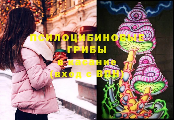 прущая мука Верея