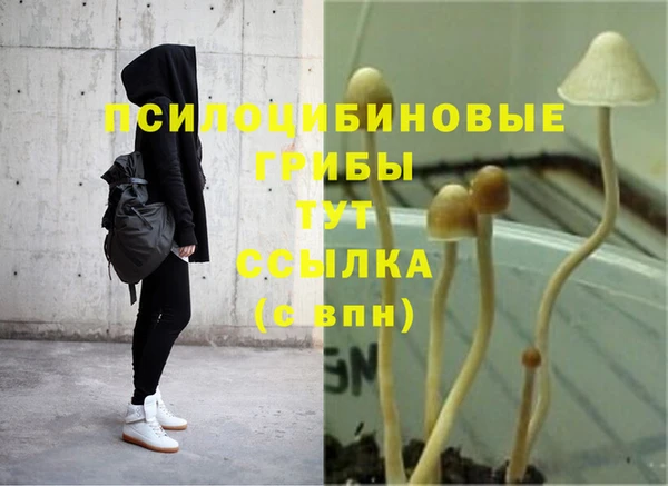 прущая мука Верея